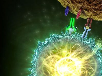 Manufacturer's illustration of how Keytruda stops cancer cells hiding from the immune system.