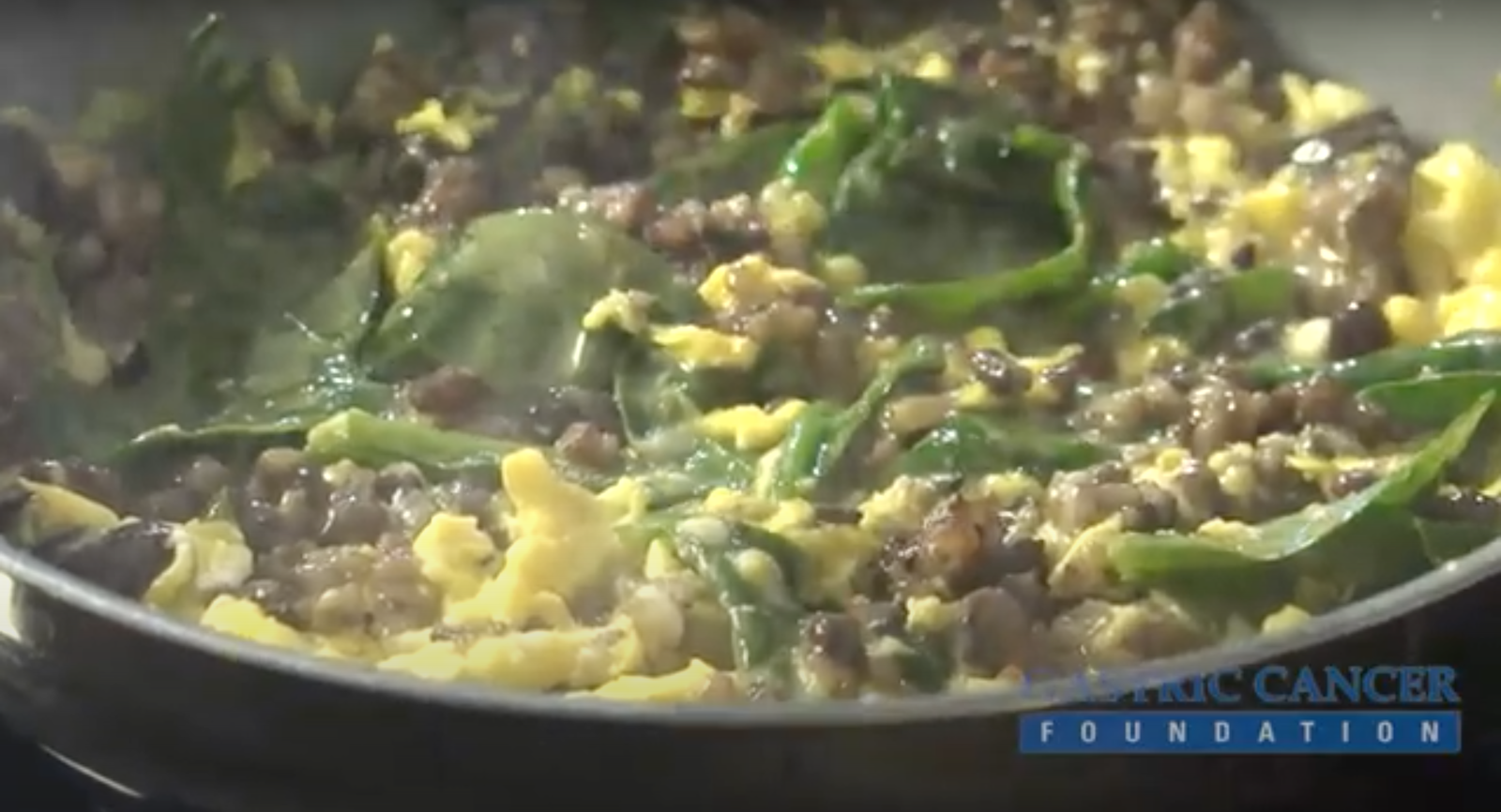 Gastric Cancer Foundation OMGhee, Leftovers! Gastric Cancer Foundation