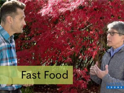 hasn rueffert and ellen Steinberg discuss fast food